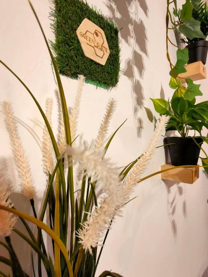 باري Green Suite المظهر الخارجي الصورة